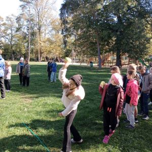 IMG_20261012_110023