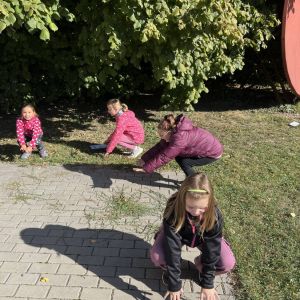 IMG_4889